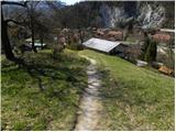 Trbovlje - Homič